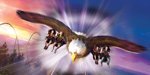 Wild Eagle POV Video!
