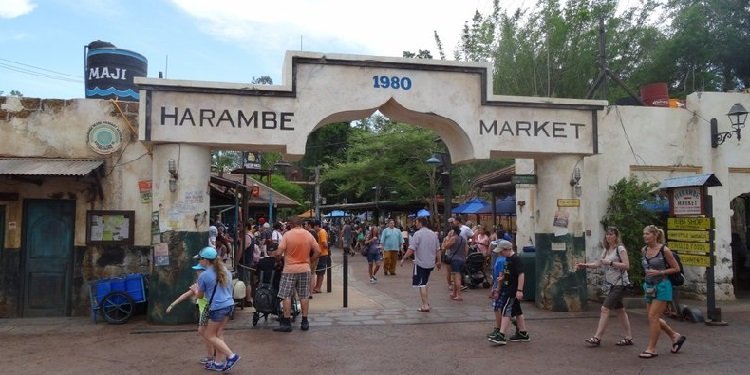 Harambe Market at Disney's Animal Kingdom!