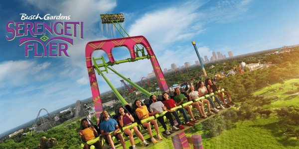 World's Tallest, Fastest Screamin' Swing Coming to Tampa!