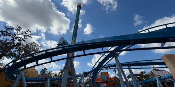 An Update from Busch Gardens Tampa!