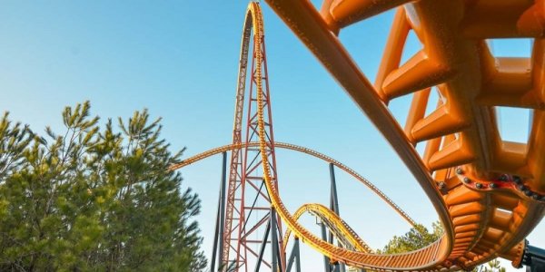 Take a Look at Kings Dominion's Pantherian!